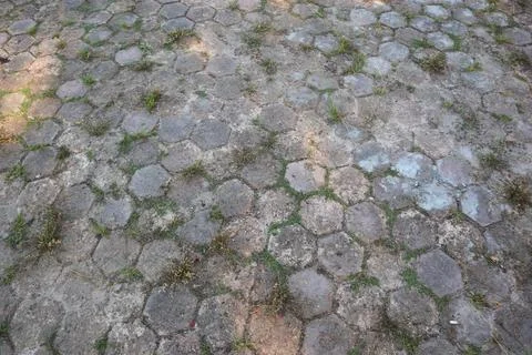 Weathered hexagonal paver path texture ground view Stock Photos