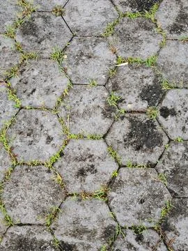 Weathered Hexagonal Paving Stones with Grass Pattern Stockfoto's