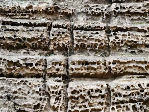 Weathered honeycomb limestone wall with eroded cavities Stock Photos