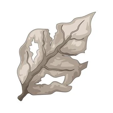 Weathered leaf illustration Stock Illustration