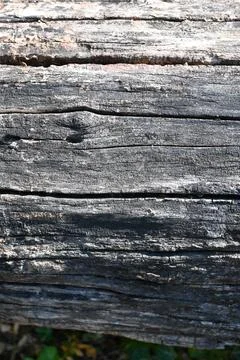 Weathered log texture background Stockfoto's