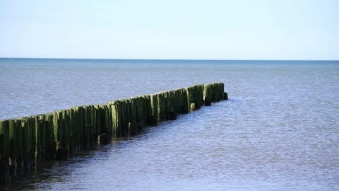 Weathered logs in sea. Stock Footage 106337635