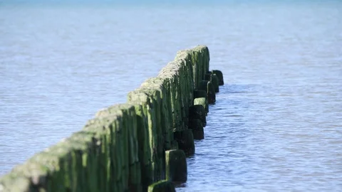 Weathered logs in sea. Stock Footage 106337678