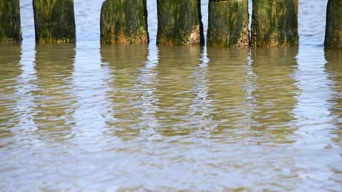 Weathered logs in sea. Stock Footage 106337682