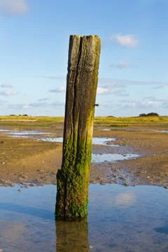Weathered marking pole on mud flat Stock Photos