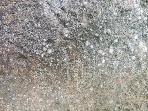 Weathered natural stone surface with white spots and lichen Stock Photos