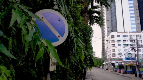 Weathered no parking sign covered by plants next to street Stock Footage 81944154
