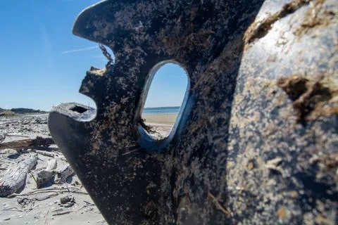 Weathered Object Framing Beach View Foto stock