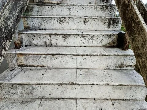 Weathered Old Concrete Staircase with Moss and Aging Texture Stock Photos