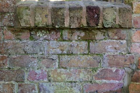 Weathered old wall looking damp with mould growth Stock Photos