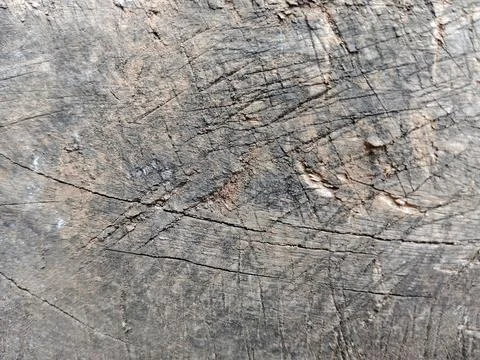 Weathered old wood surface with deep scratches and cracks Stock Photos