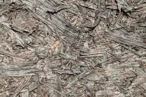 Weathered osb board closeup Stock Photos
