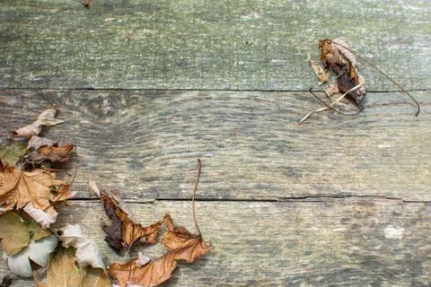 Weathered Pallet Wood Boards with Dry Leaves in Lower Left Corner Stock Photos