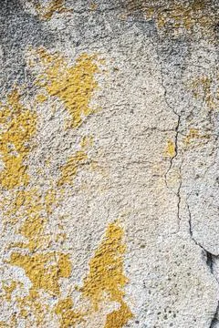 Weathered Plaster Wall With Crack Photos