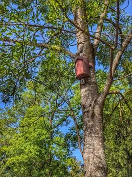 Weathered red birdhouse mounted on sturdy tree trunk among lush green leave.. Stock Photos