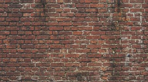 Weathered Red Brick Wall Texture Background with Moss and Stains. Фото
