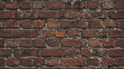 Weathered Red Brick Wall Texture Detail. Stock Photos