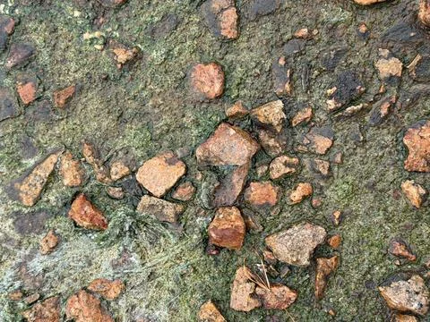Weathered Red Clay Aggregate Concrete Surface with Moss and Algae Stockfoto's