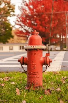 Weathered Red Fire Hydrant Beneath Autumn Trees Stock Photos