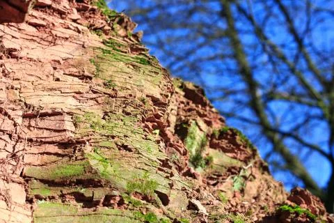 Weathered red sandstone Stock Photos
