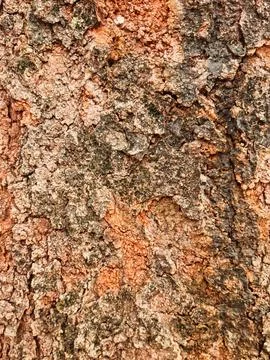 Weathered reddish rock surface with rugged mineral detail for natural desig.. 스톡 사진
