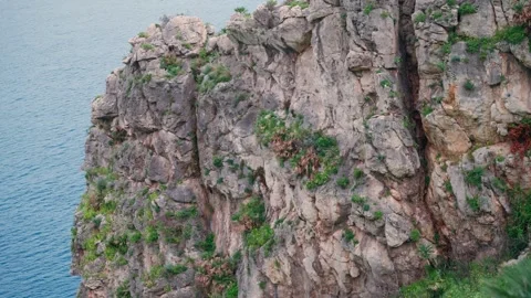 Weathered rock cliff face rises from the sea in Sicily Stock Footage 342672738