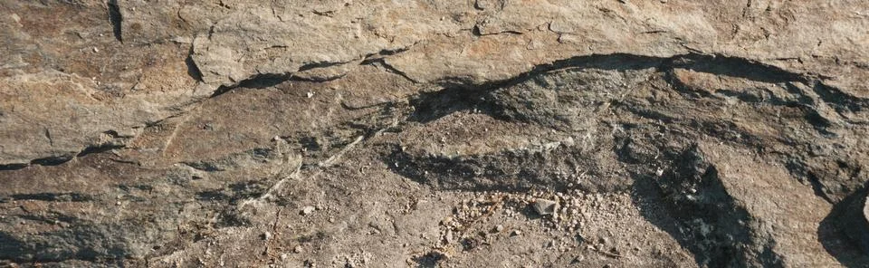 Weathered Rock Face Texture close-up Showing Stratified Geological Formatio.. Stock Photos