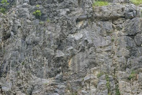 Weathered rock face texture in old stone pit with parts of green. Foto stock
