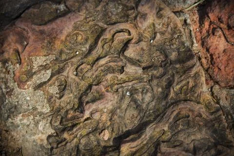 Weathered Rock Face Texture 写真素材