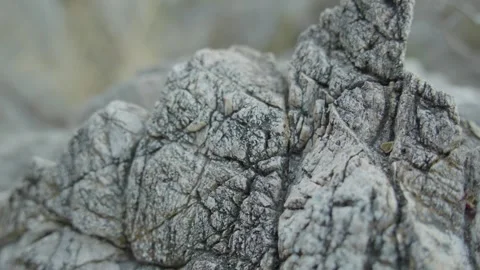 Weathered Rock Formation. Stock Footage 282240444