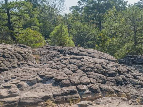 Weathered rock formation with polygonal patterns in forest Stock Photos
