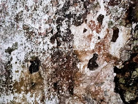 Weathered rock Stock Photos