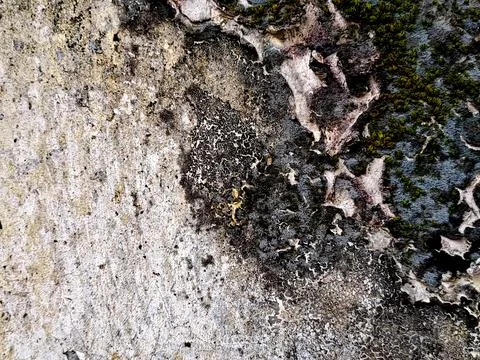 Weathered rock Stock Photos