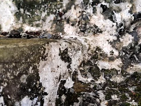 Weathered rock Stock Photos