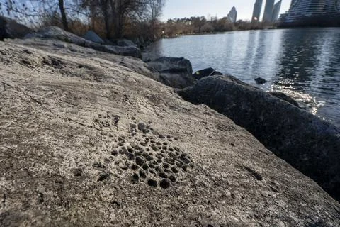 Weathered Rock Texture with Erosion Patterns by Toronto Waterfront Stock Photos