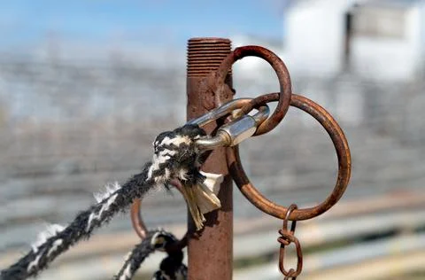 Weathered rope with clevis attached to a rusty steel pipe hitching post Stock Photos