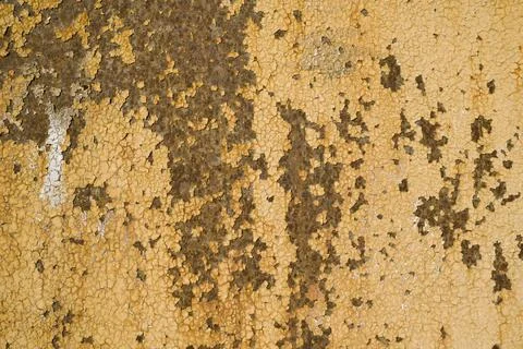Weathered rough painted surface with patterns of cracks and peeling. Stock Photos