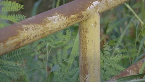 Weathered Rusty Canal Railing Stock Footage 338342588