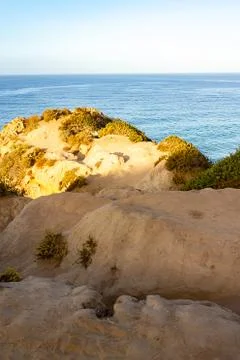 Weathered sandstone path to cliff edge with western wallflower Stock Photos