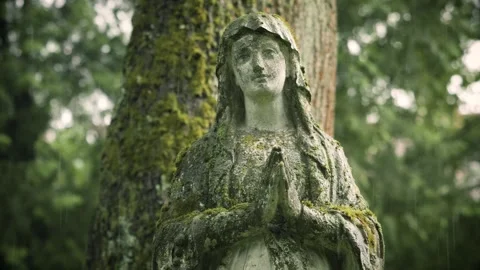 Weathered St. Mary statue in the rain at Bernardine Cemetery Stock Footage 337304754