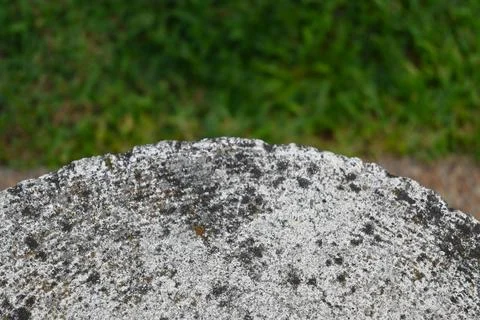 Weathered stone with blurred grass background Stockfoto's