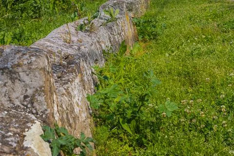 Weathered stone border surrounded by lush green grass and wild vegetation i.. Stock-Fotos