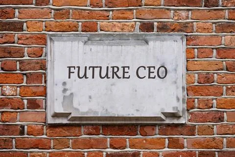 A weathered stone slab, imprinted with the text FUTURE CEO, is nestled securely Stock Photos