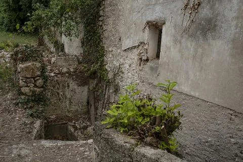 Weathered stone structure and hidden basement entrance in overgrown abandon.. Stock Photos