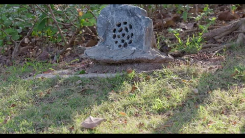 Weathered Stone Structure in Natural Ground Cover Stock Footage 330951276