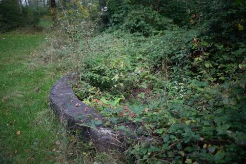 A weathered stone structure surrounded by vibrant green foliage in a natura.. Stock Photos