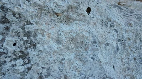 Weathered stone surface with natural lichen texture Stock Footage 344803339