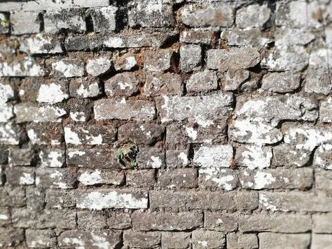 Weathered stone wall in close up Stock Photos