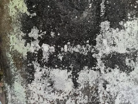 Weathered stone wall in close up Stock Photos