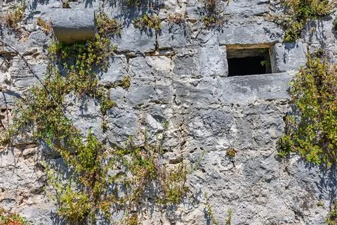 Weathered Stone Wall With Small Window and Climbing Ivy on Historic Ruins F.. Stock Photos